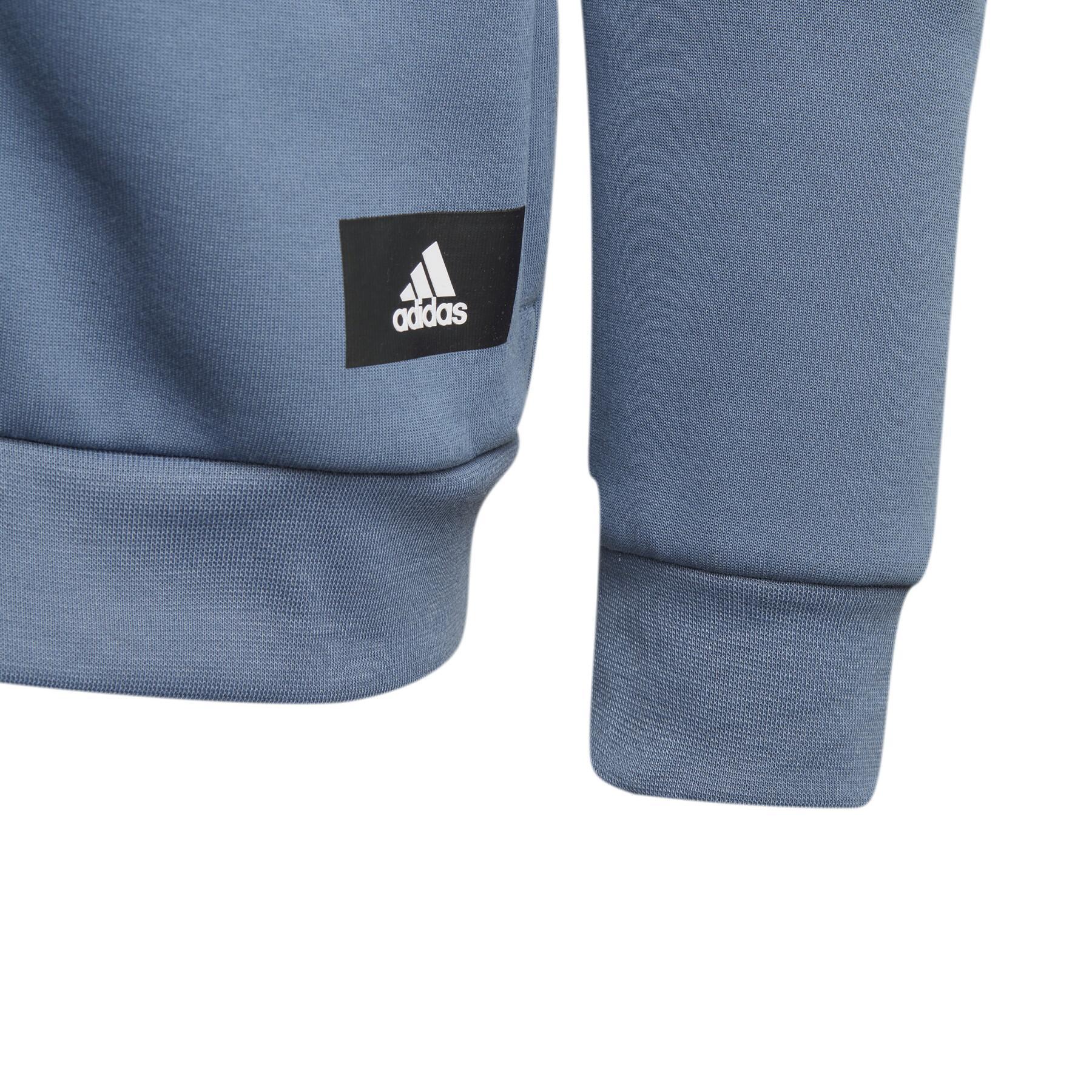 Child hoodie adidas Future Icons