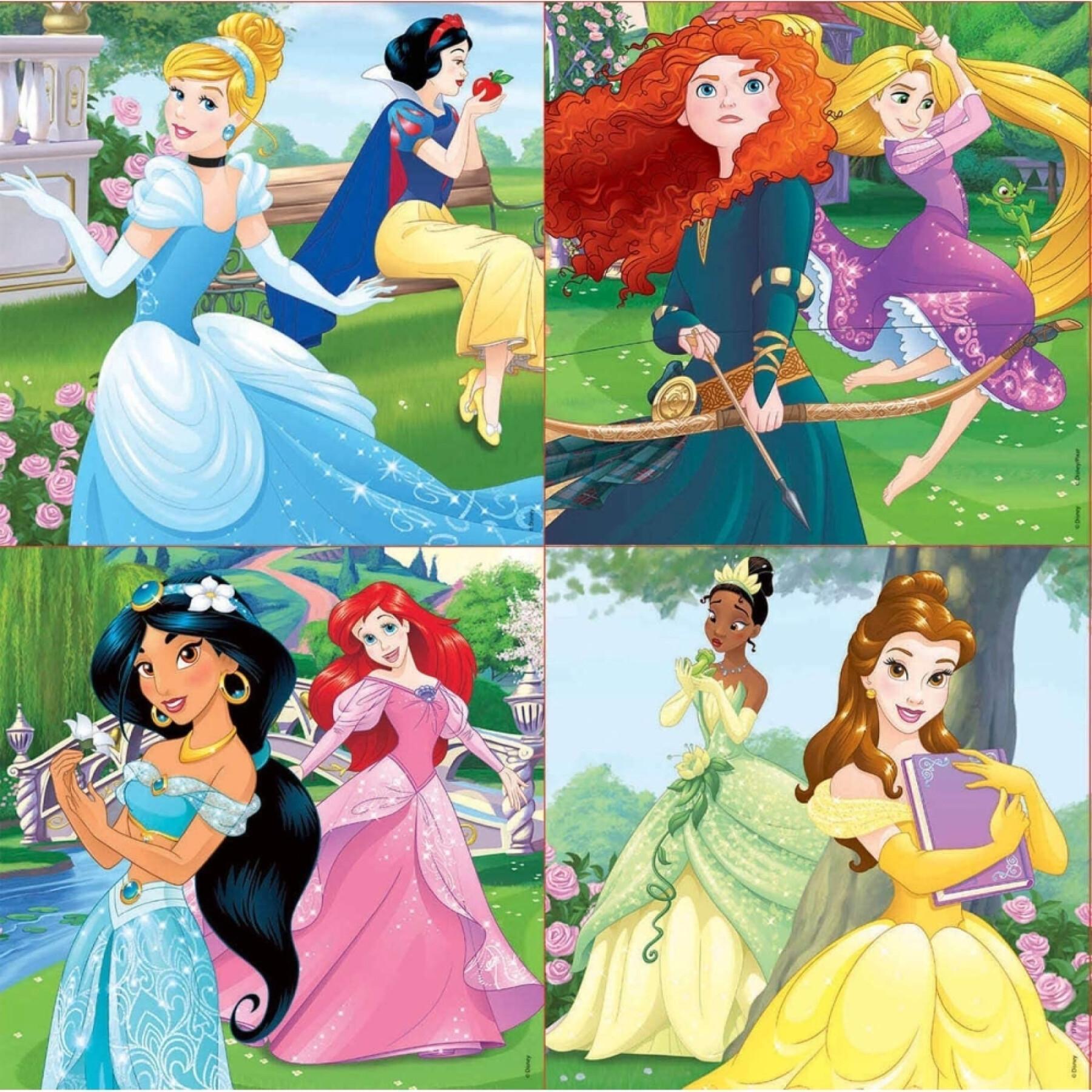 Progressive puzzle Disney Princess