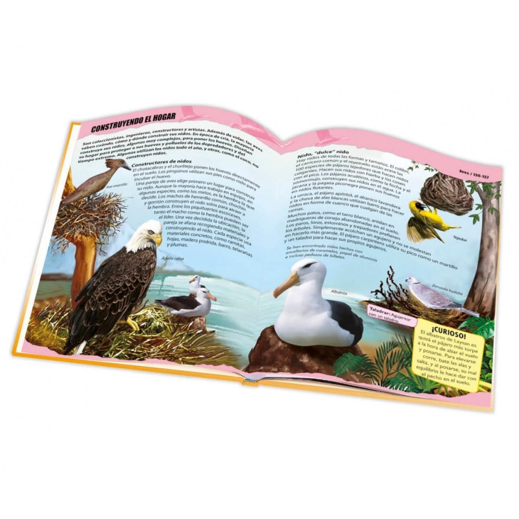 Big book animal world Ediciones Saldaña