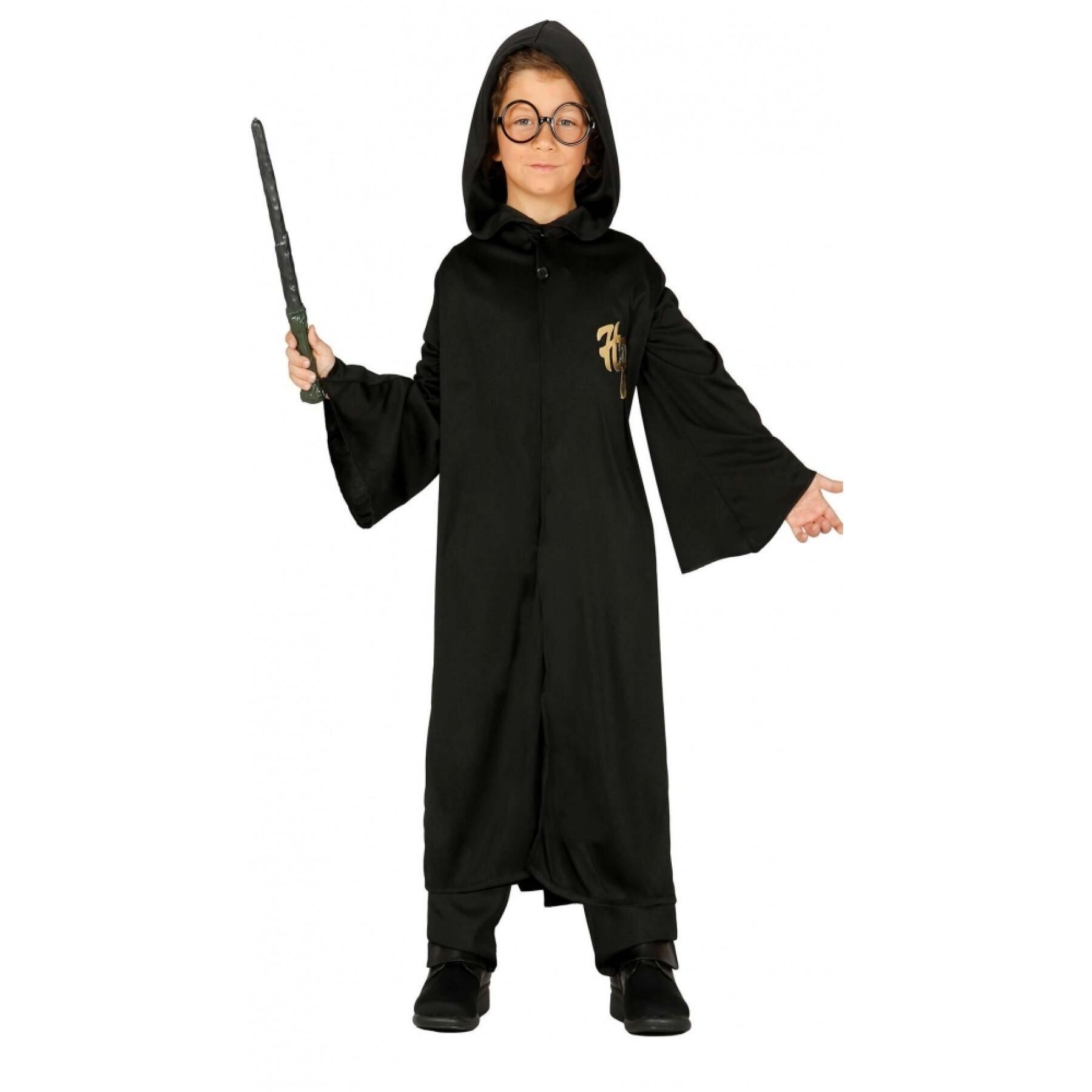 Disguise apprentice magician Harry Potter