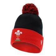 Children's hat with pompon Pays de Galles rugby 2020/21