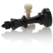 Chess piece n°3 with wooden case Cayro
