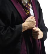 Wizard dress disguise - gryffindor Cinereplicas Harry Potter