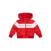 Girl's hooded jacket Guess