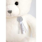 Plush Histoire d'Ours Ours Charms