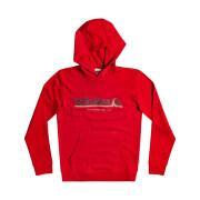 Child hoodie Quiksilver All Lined Up