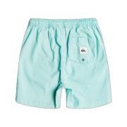 Children's swimming shorts Quiksilver Taxer Ws