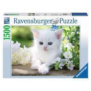1500 pieces white kitten puzzle Ravensburger