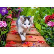 500 pieces puzzle nathan kitten in the garden Ravensburger